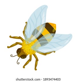 beautiful bee or wasp drawn in cartoon style. striped insect. yellow bee with blue transparent wings against a background of yellow honeycombs. vector illustration