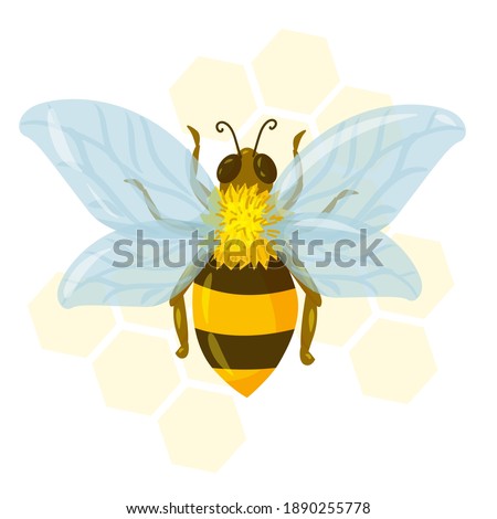 beautiful bee or wasp drawn in cartoon style. striped insect. yellow bee with blue transparent wings against a background of yellow honeycombs. vector illustration