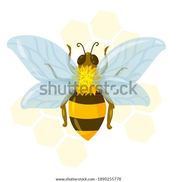 Beautiful Bee Wasp Drawn Cartoon Style Stock Vector (Royalty Free ...