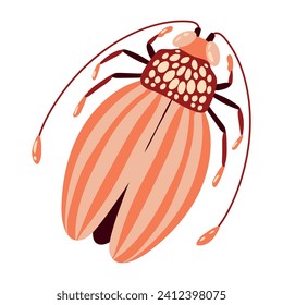 schönes Käfer-Dracheninsekt. Dekoratives stilisiertes Insekt mit einem botanischen Muster auf den Flügeln. Käferflügel. Vektorgrafik auf weißem Hintergrund.