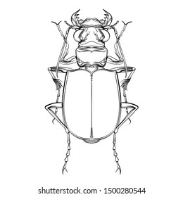 Beautiful beetle on a white background in linear style. Hand-drawn.