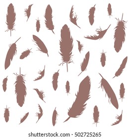 beautiful beige feathers set on white background. hand drawn vector illustration. boho theme elements