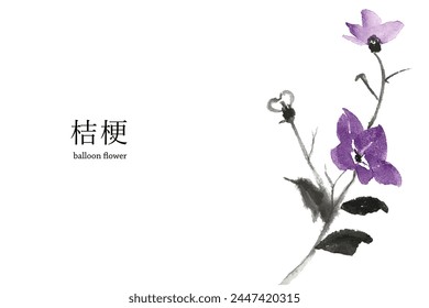 Beautiful bellflower flower watercolor style vector illustration