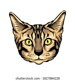 Beautiful Bengal cat face, for t-shirt design