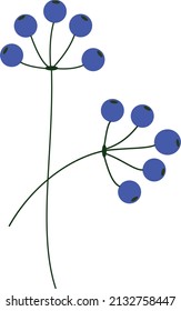 Beautiful berries. A vector file is useful for creating your designs.