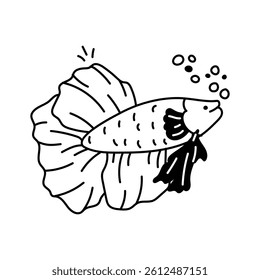 A beautiful betta fish with flowing fins swimming underwater