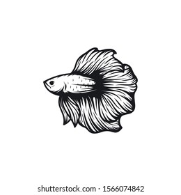 beautiful betta fish vector illustration