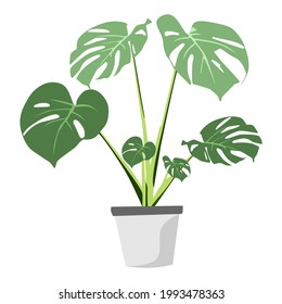 beautiful big leaf flower vector