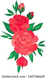 beautiful big pink peonies vector
