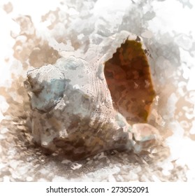 beautiful big seashell on the beach in cool shade. Painted sea background