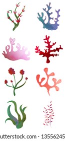 Beautiful big set with differents seaweeds. Cute vector elements in flat cartoon style. For your design, posters, textile, wedding invitation, business products. Vector illustration.