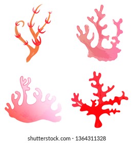 Beautiful big set with differents seaweeds. Cute vector elements in flat cartoon style. For your design, posters, textile, wedding invitation, business products. Vector illustration.
