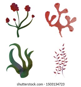 Beautiful big set with differents seaweeds. Cute vector elements in flat cartoon style. For your design, posters, textile, wedding invitation, business products. Vector illustration.