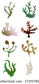 Schönes großes Set mit verschiedenen Algen. Cute Vektorelemente im flachen Cartoon-Stil. Für Ihr Design, Plakate, Textilien, Hochzeitseinladung, Business-Produkte. Vektorgrafik.