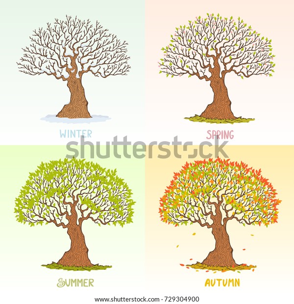 Beautiful Big Tree Different Seasons Vector Stock Vector (Royalty Free ...