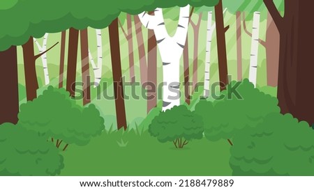 beautiful birch grove in the sun
