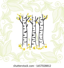 Beautiful birch trees. Sketch. Vector illustration