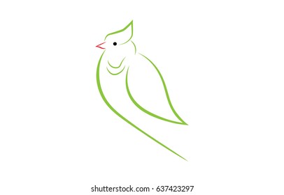Beautiful Bird