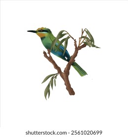 beautiful bird, bird background and colorful birds