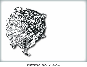 Beautiful Bird Background (vector)