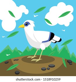 The Beautiful Bird from Bali Island