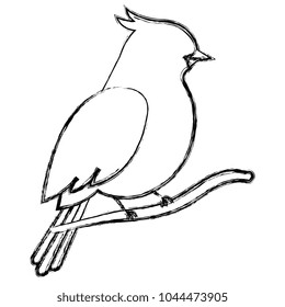 beautiful bird in branch tree decorative icon