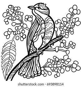 Beautiful Bird Coloring Book Adult Older Stock Vector (Royalty Free ...