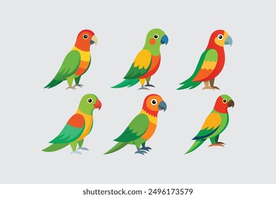  Beautiful  bird Conure Parrot vector artwork