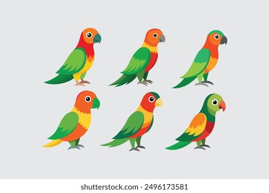  Beautiful  bird Conure Parrot vector artwork