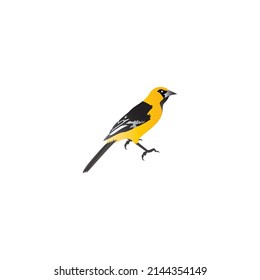 beautiful bird design logo vector