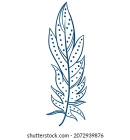 Beautiful bird feather with dots and stripes, isolated object. Feathers hand engraving, line art. Vector decoration illustration.