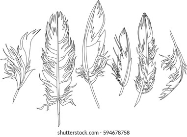 Beautiful bird feathers outline. Vector. Set collection. Bohemian concept for wedding invitations, cards, stickets, congratulations, branding, logo label, emblem. Black and white.