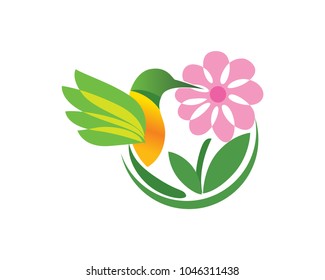 Beautiful Bird Finding Nectar in A Flower Logo In Isolated White Background