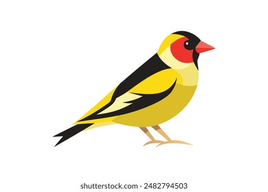  Beautiful bird Goldfinch vector art illustration