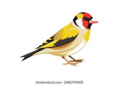  Beautiful bird Goldfinch vector art illustration