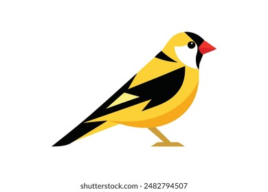  Beautiful bird Goldfinch vector art illustration