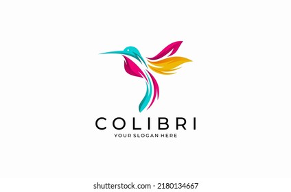 Hermosa plantilla de vectores de diseño del logotipo de Hummingbird Colibri