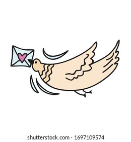 Beautiful bird with letter of love. Vector illustration