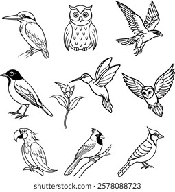 Beautiful Bird Line Art Collection,9 Elegant Avian Sketches.