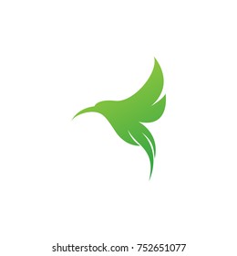 beautiful bird logo template