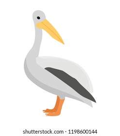 
A beautiful bird with long beak depicting  pelicans 
