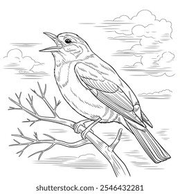 the beautiful bird mouth open seat on the tree coloring page 