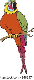 Beautiful bird  on branch parrot macaw