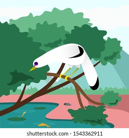 Beautiful Bird on The Branch with Pond Background