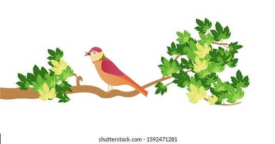 Beautiful bird on branch of tree. Vector illustration isolated on white background.
