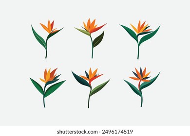  Beautiful Bird of Paradise flower vector artwork