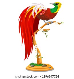 Beautiful bird of paradise sitting on a wooden perch with flowers isolated on white background. Vector cartoon close-up illustration.