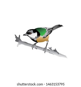 a beautiful bird perched on a tree
