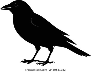 A beautiful bird silhouette black vector artwork illustration