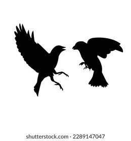 una bonita silueta de pájaro. Vector aislado, ilustración de pájaro